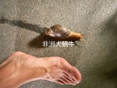 -三亚太阳湾柏悦酒店