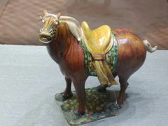 -北京周口店北京人遗址博物馆