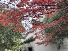 -采石矶景区