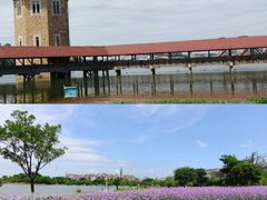 -九龙湖公园