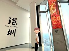-平安金融中心云际观光层