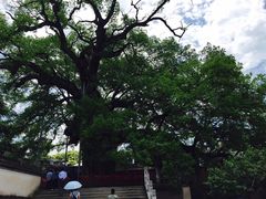 -新安江山水画廊风景区