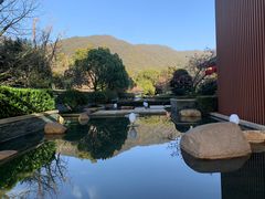 -逸廊大堂吧-下午茶·简餐-千岛湖自由洲际殿