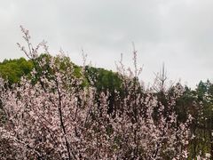 -厝内小眷村(吴江万宝店)