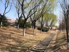 -永定河休闲森林公园