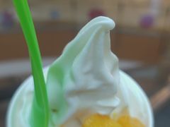 -Salud撒露欧洲冻酸奶(798艺术区店)