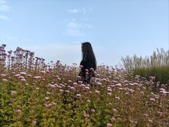 -汉长安城未央宫国家考古遗址公园