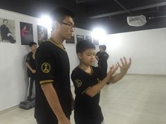 -温鉴良实用咏春拳