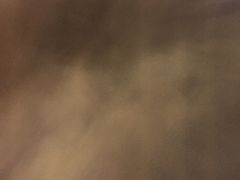 -新疆风味冷水鱼庄(友谊峰路店)