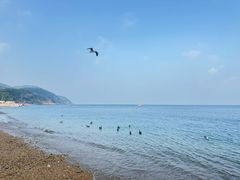 -棒棰岛宾馆景区