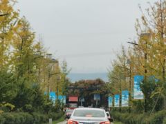 -王家凉皮(文化新天地店)
