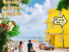 -Big Bus Tours 敞篷观光巴士