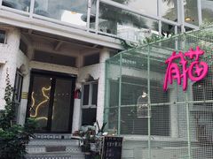 -有猫主题·治愈系猫咖(曾厝垵店)