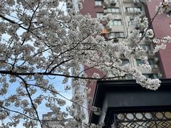 -玛格萝妮比萨屋(四平店)