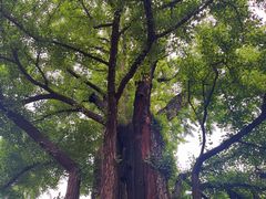 -红螺寺