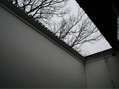 -绮园景区