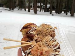 -北海道神宫