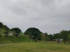 -大湾区中央湿地公园
