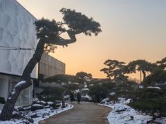 -罗红摄影艺术馆