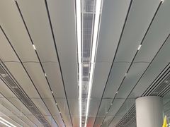 -厦门邮轮中心厦鼓码头(轮渡站)