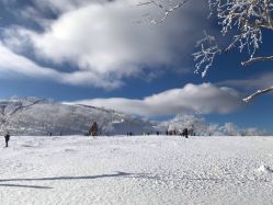 -大秃顶子山