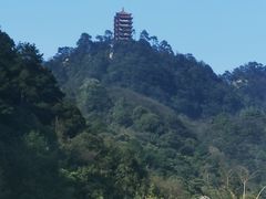 -缙云山景区