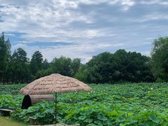 -百翠山居.家飨餐厅