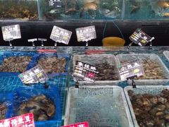 水产区-苏先生海鲜渔庄(金桥店)