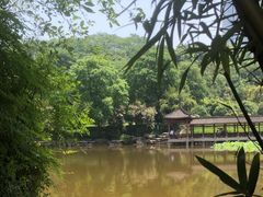 -龙头寺公园