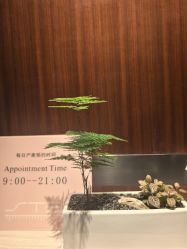 -圣贝拉母婴护理中心(深圳莱佛士店)