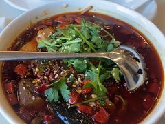 四川毛血旺-新南华大酒店(长寿店)