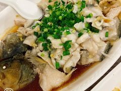 香葱淋鲈鱼-粤·向群饭店(龙津东路总店)