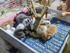 -三旗百汇商品城