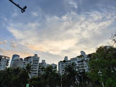 -深圳仙湖植物园