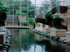 -上海外滩茂悦大酒店