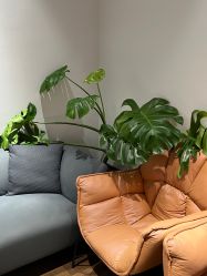 -防空洞舞蹈·瑜伽