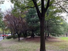 -上海市第一人民医院(松江南部)