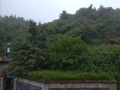 -秦岭风景区