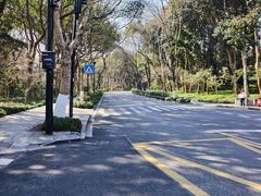 -杭州西子湖四季酒店-WL BISTRO西湖餐厅(灵隐路店)