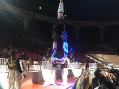 -灵玲国际马戏城