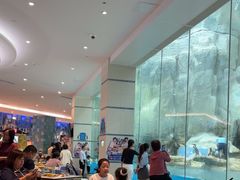 -帝企鹅自助餐厅•儿童岛•真企鹅(长隆企鹅酒店)