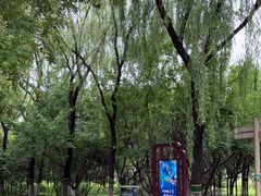 -大兴滨河森林公园