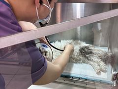 -萌兽医馆·眼科·异宠专科(三里屯店)
