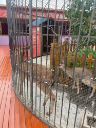 -三分地生态园·儿童乐园