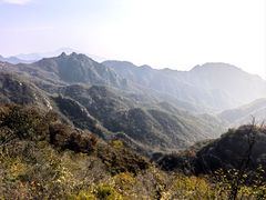 -大岭沟猕猴桃谷风景区