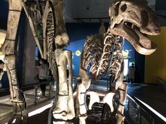 -湖南省地质博物馆