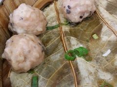 荷叶蒸藕丸-姚林轩