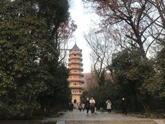 -灵谷景区