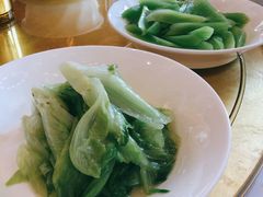 生菜-咖啡苑 - 蔚藍夏日限定主题(永利皇宫店)