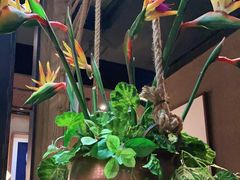 -云海肴·云南小炒·汽锅鸡(天津国金汇店)